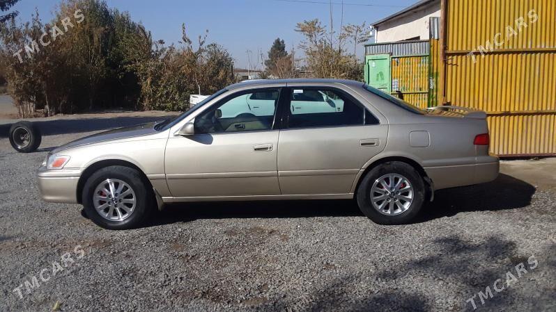 Toyota Camry 2001 - 180 000 TMT - Sakarçäge - img 3