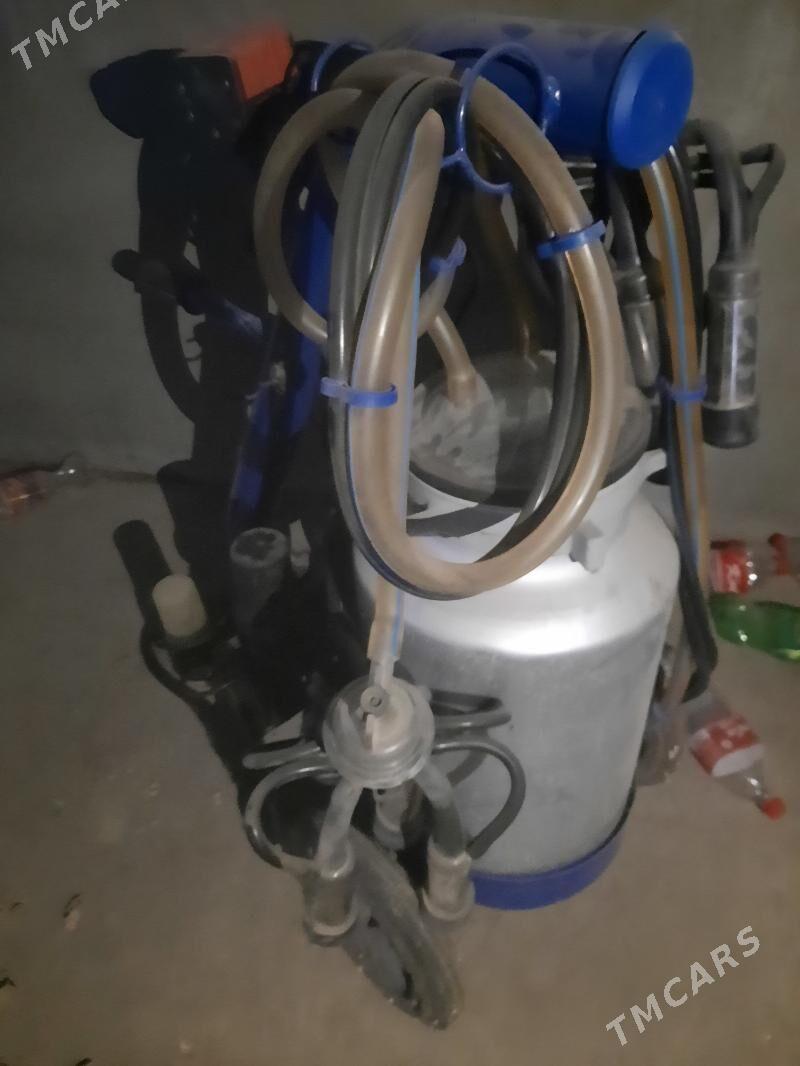 sygyr sagyan aparat - Гуртли - img 2