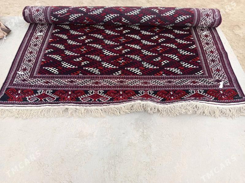 Halyca - Etrek - img 4