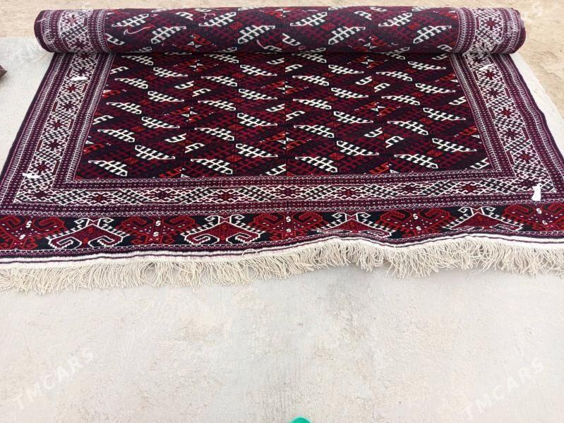 Halyca - Etrek - img 3