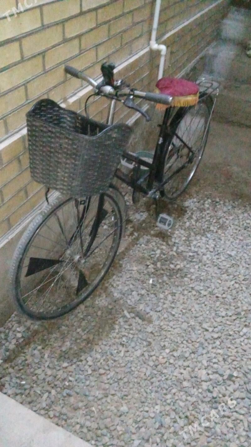 tigir 26 - Мары - img 2