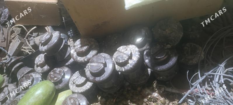 Tok sym - Mary - img 4