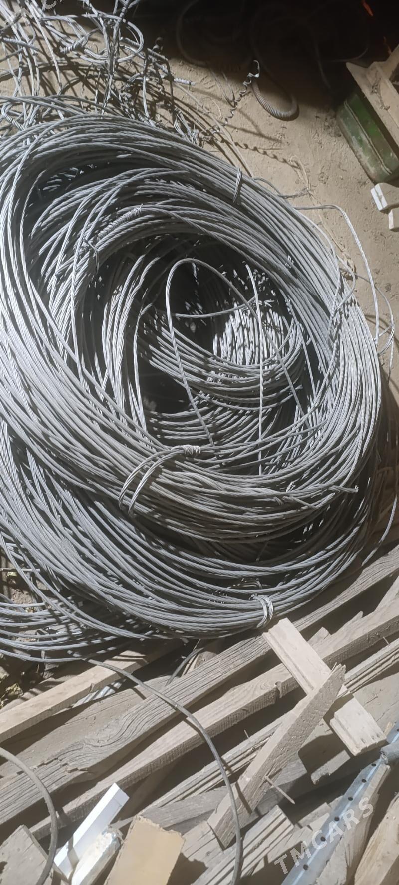 Tok sym - Mary - img 2