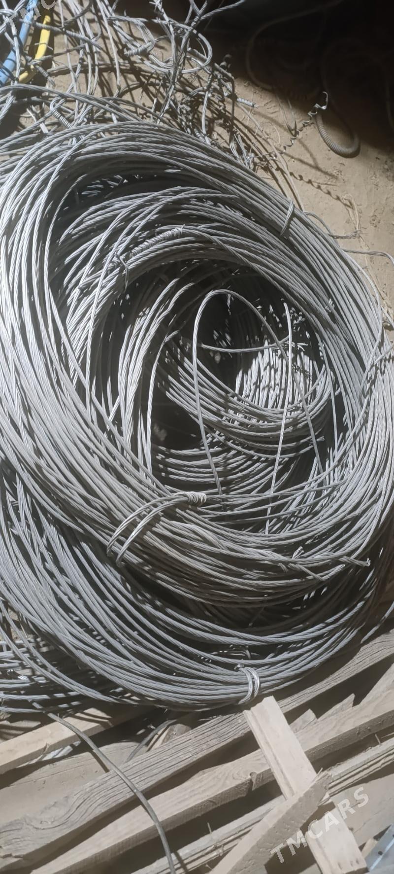 Tok sym - Mary - img 3