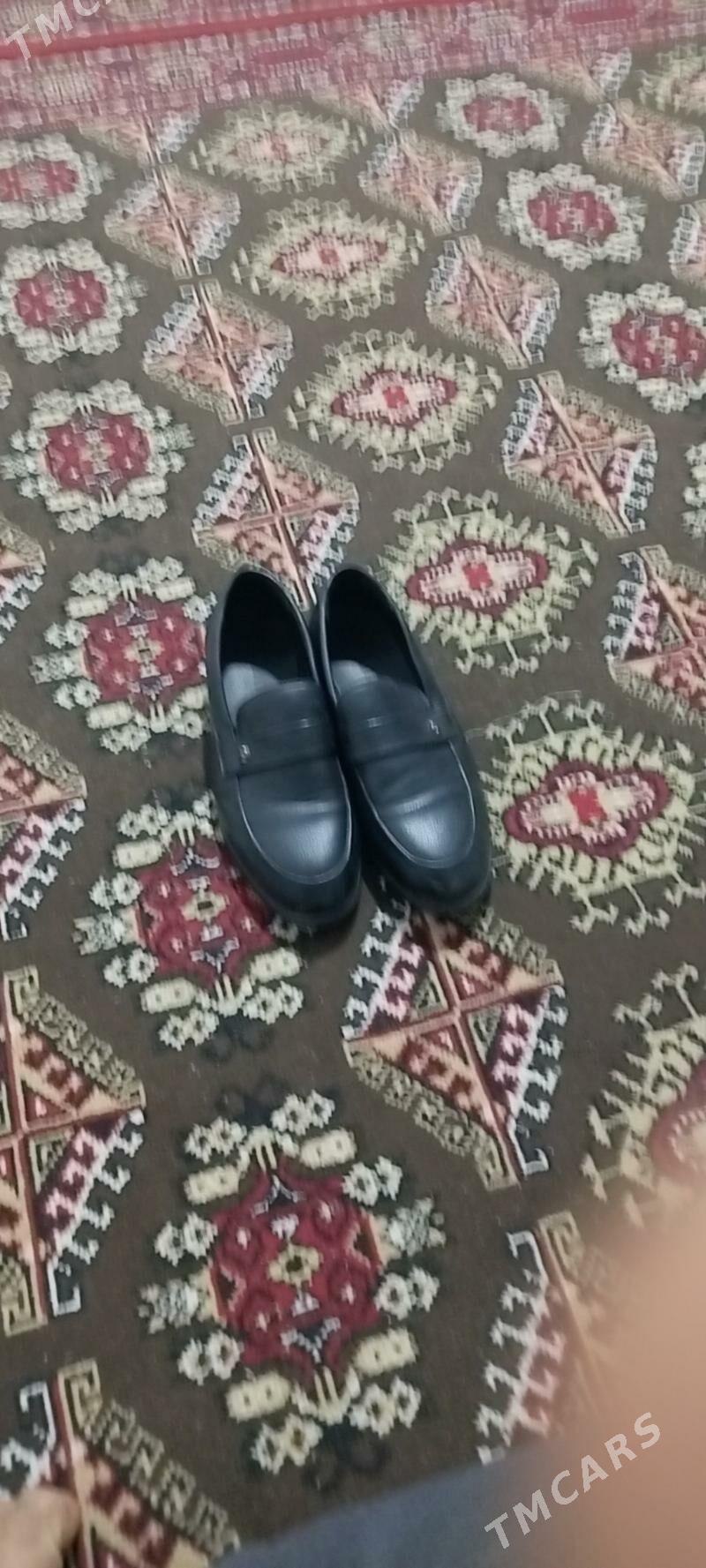 kastym köwüş - Bekrewe - img 2