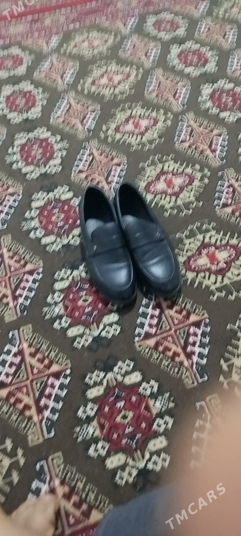 kastym köwüş - Bekrewe - img 1