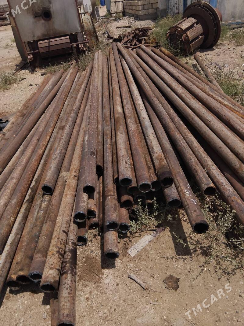 turba 159 114 - Mary - img 4