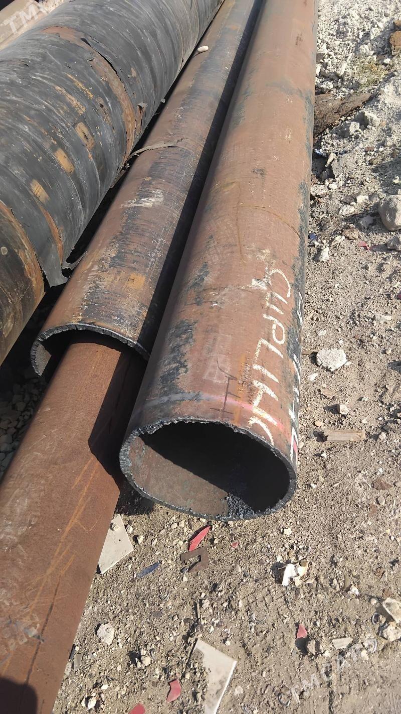 turba 159 114 - Mary - img 2