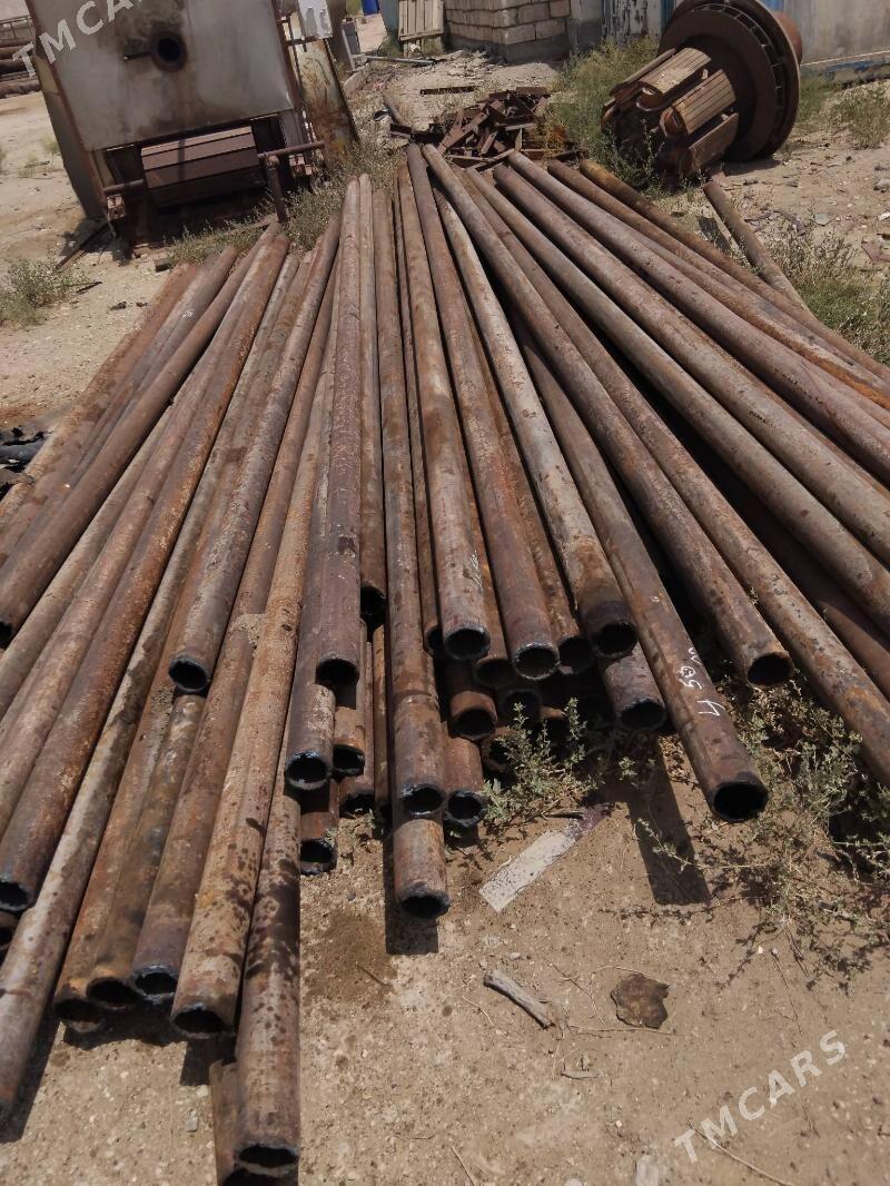 turba 159 114 - Mary - img 3