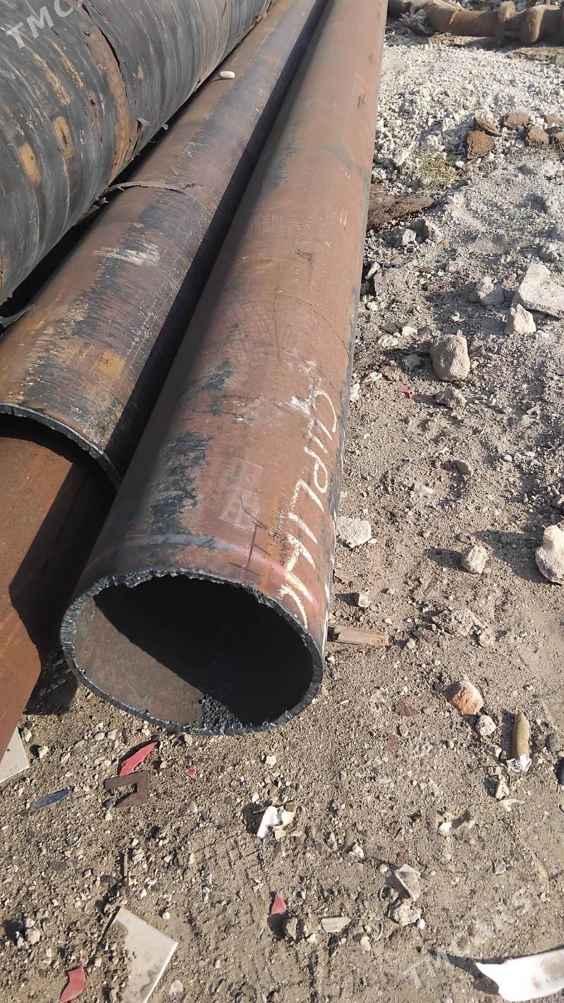 turba 159 114 - Mary - img 1