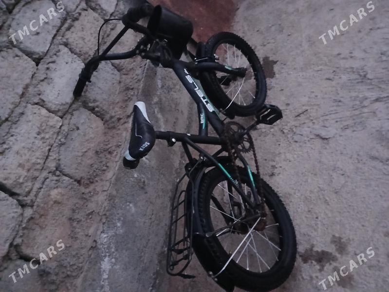 Stels - Анев - img 2