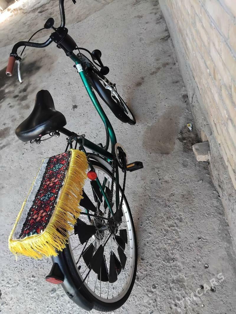 weylik 27 - Çärjew - img 3