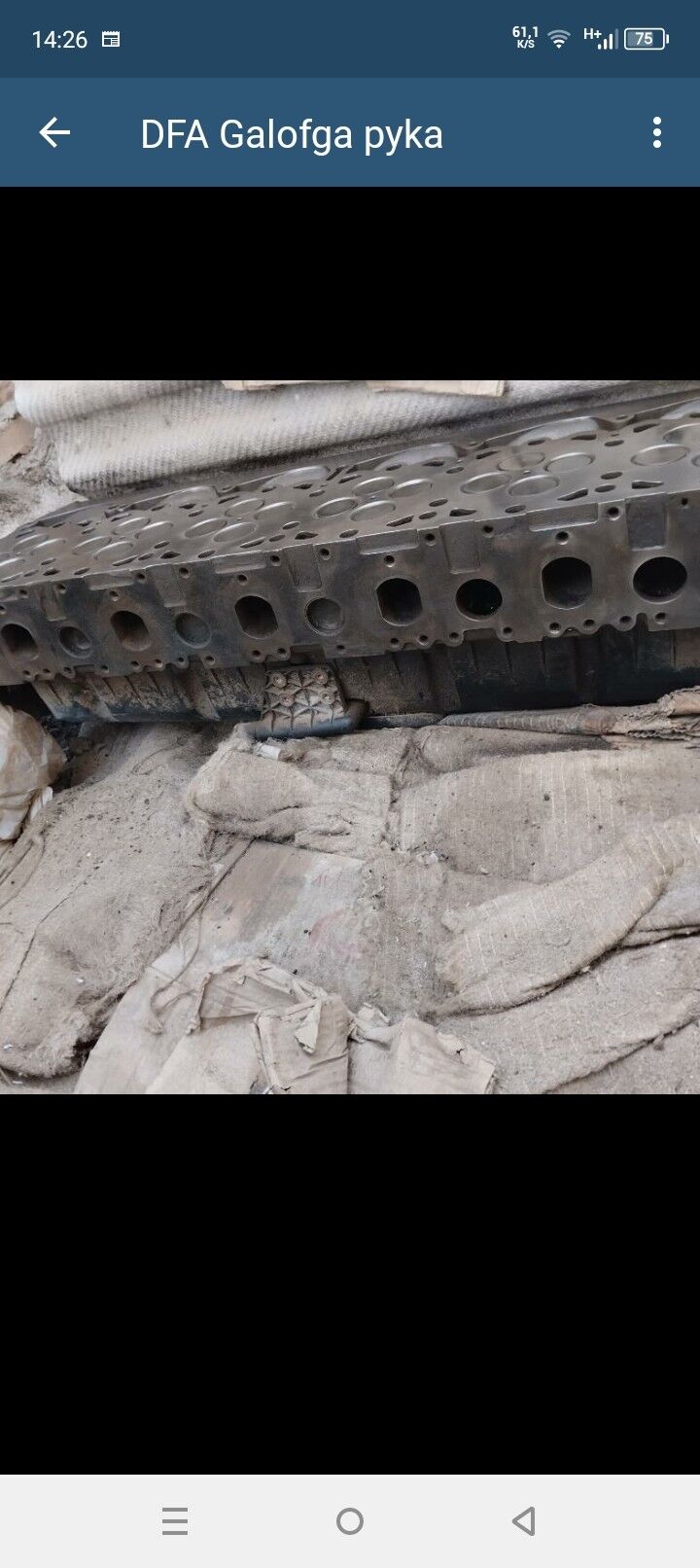 DAF  GALOFGA PYKA 2008  MORDA 10 000 TMT - Керки - img 2