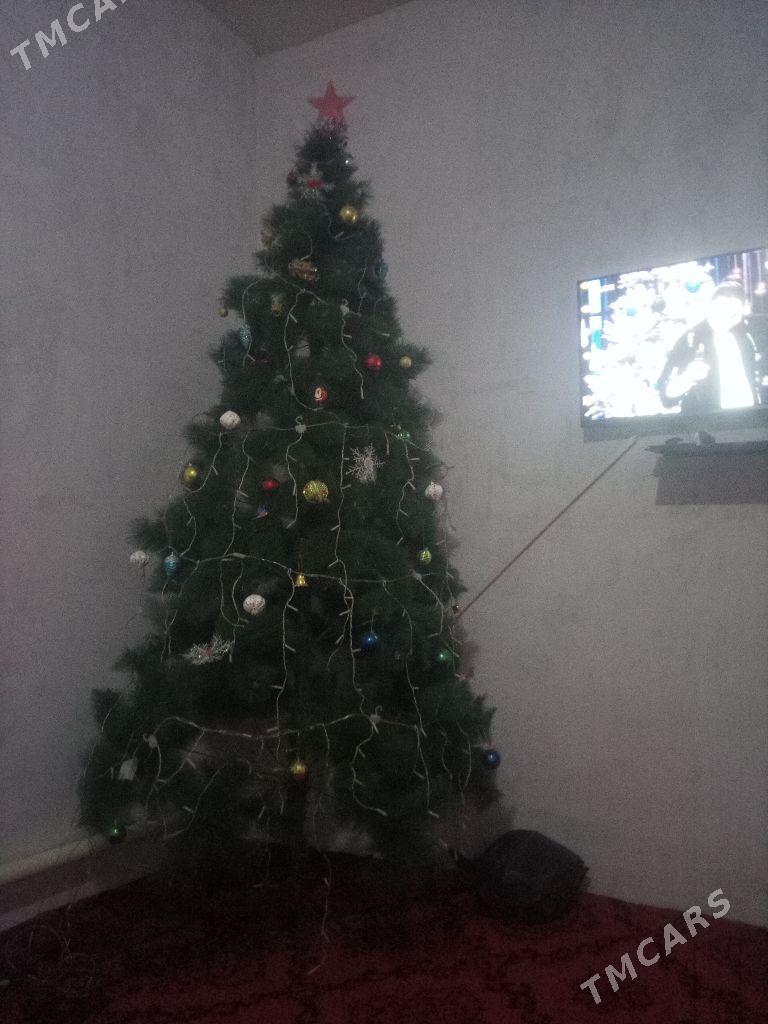 Yolka - Türkmenbaşy etr. - img 3