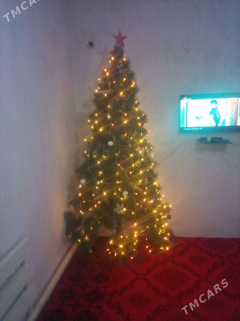 Yolka - Türkmenbaşy etr. - img 2