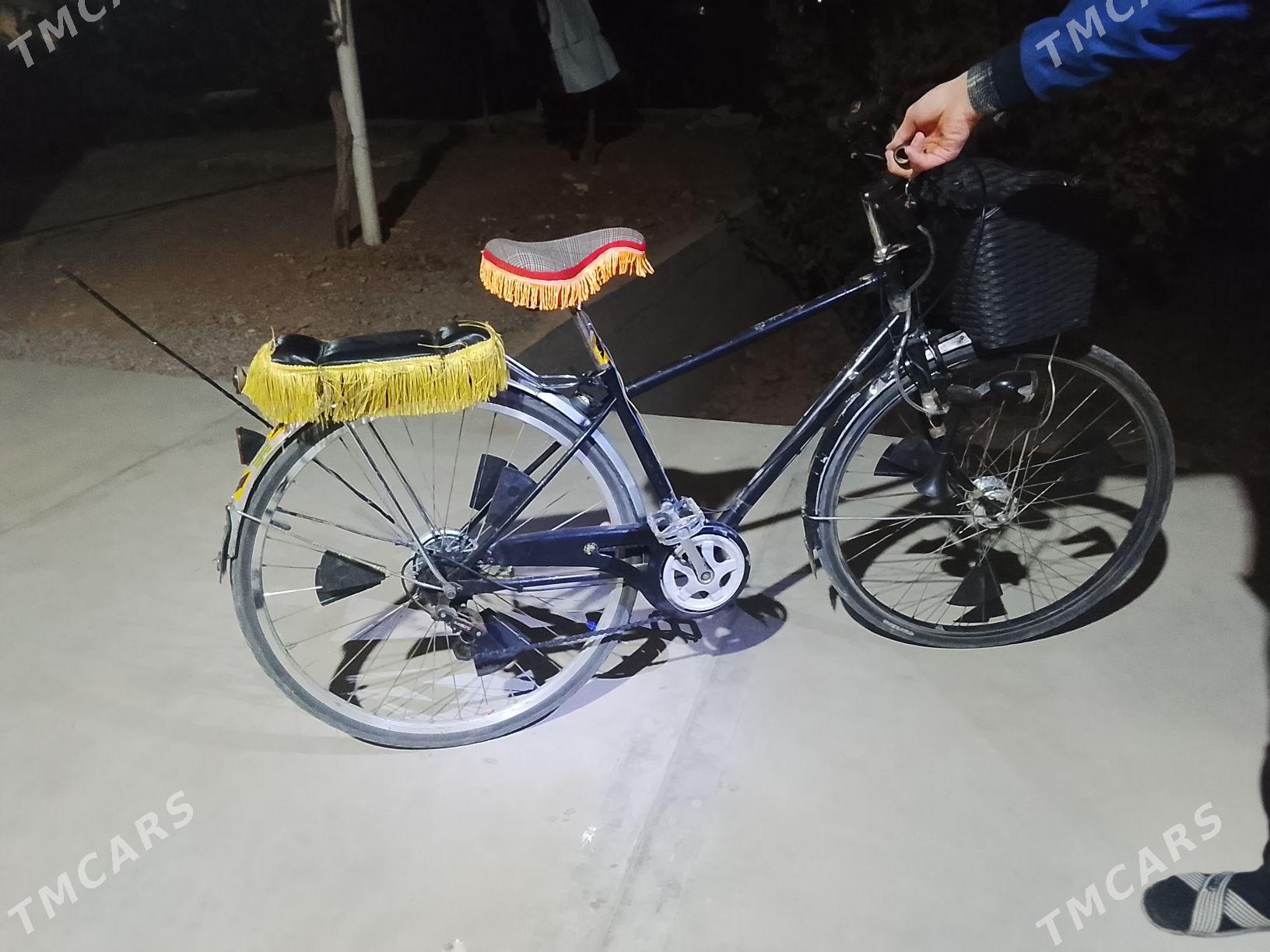 welik 27 - Сакарчага - img 3