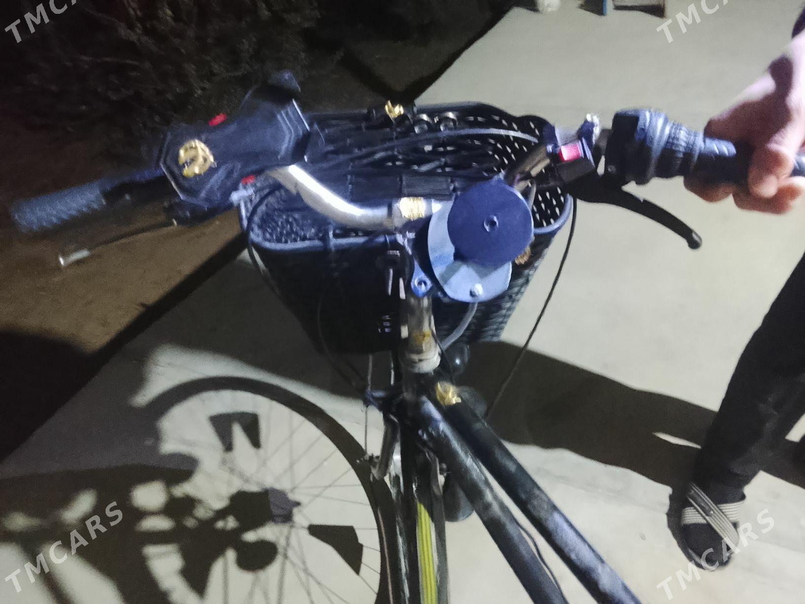 welik 27 - Сакарчага - img 2