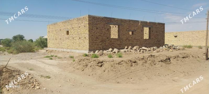 Dilewar - Daşoguz - img 2