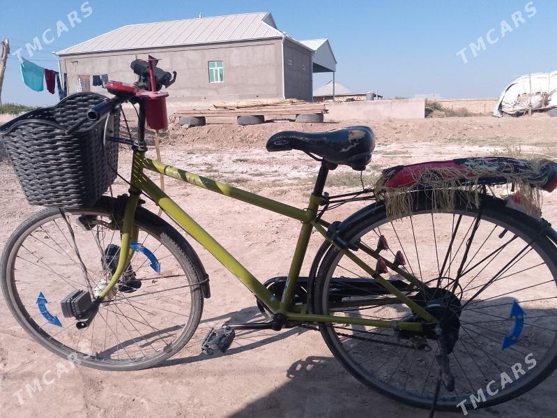 welik 27 - Baýramaly - img 7