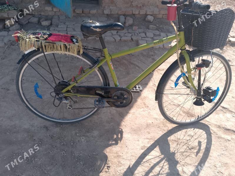 welik 27 - Baýramaly - img 5