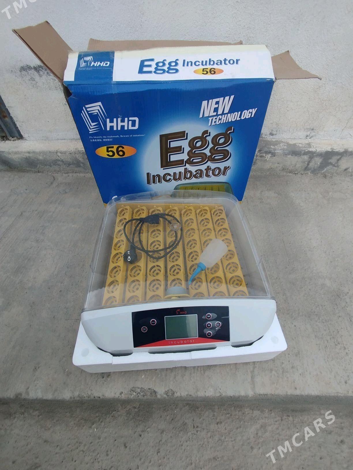 inkubator enkubator - Херрикгала - img 1