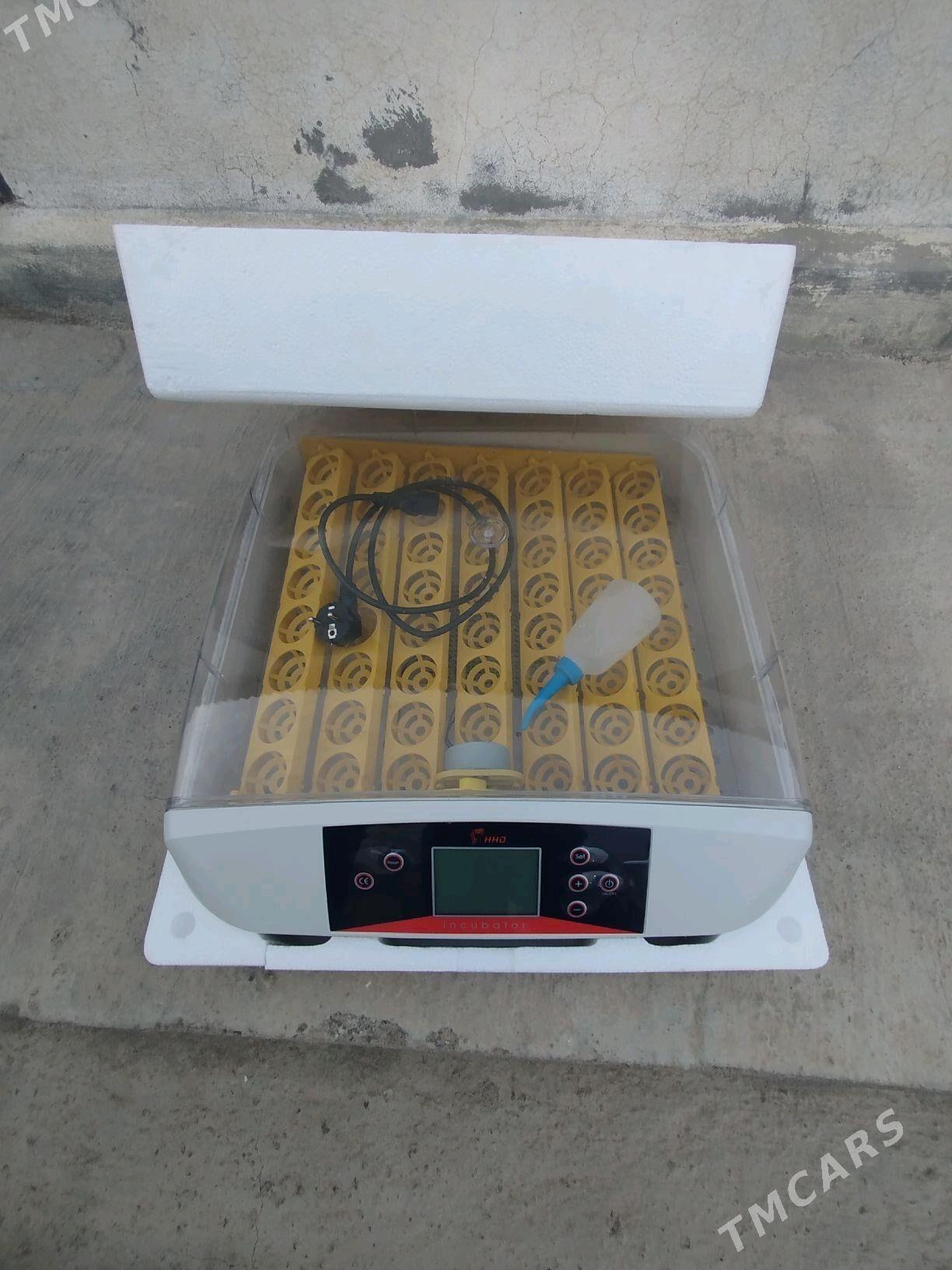 inkubator enkubator - Херрикгала - img 2