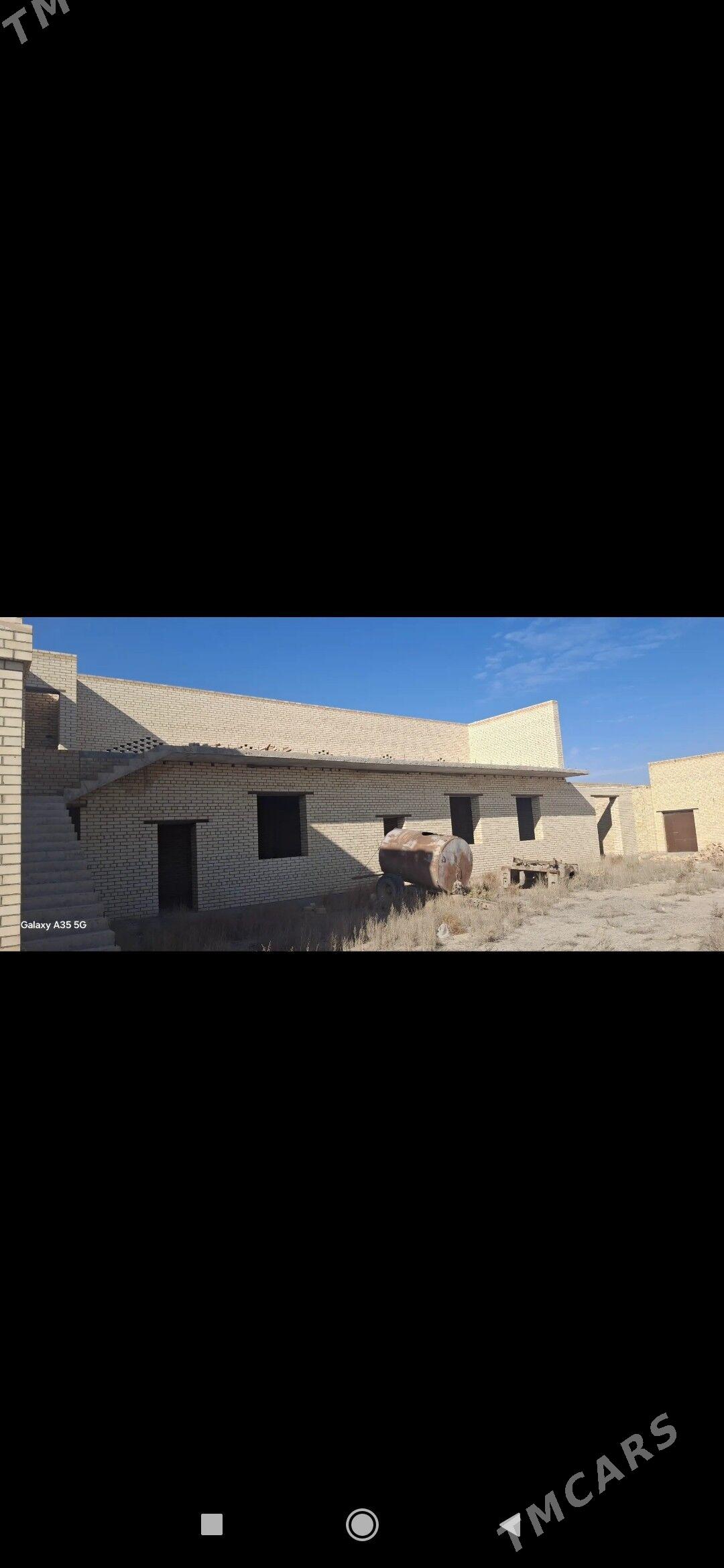 col mellek - Saýat - img 2