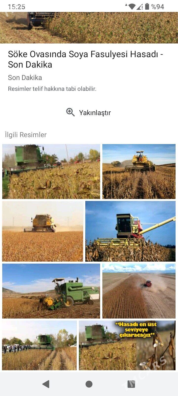 soya - Türkmengala - img 4