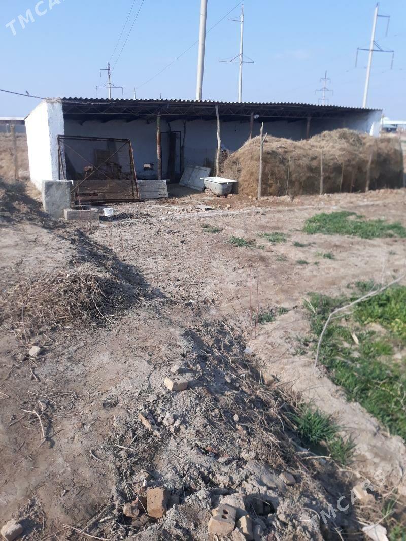 Bayramaly etrap - Baýramaly - img 3