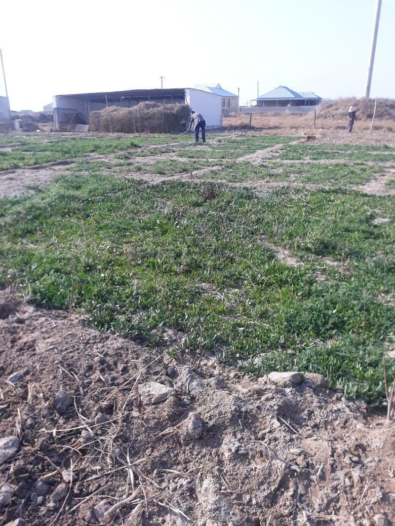 Bayramaly etrap - Baýramaly - img 4