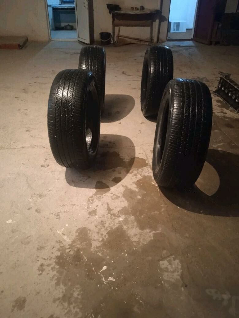 pakriska galowka 2 200 TMT - Kaka - img 2