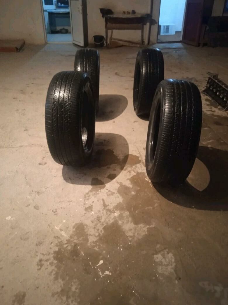 pakriska galowka 2 200 TMT - Kaka - img 3