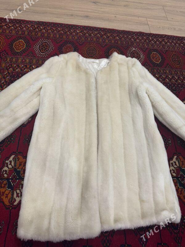 Shuba - Aşgabat - img 2