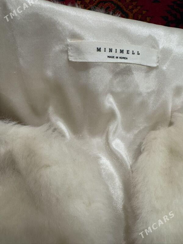 Shuba - Aşgabat - img 3