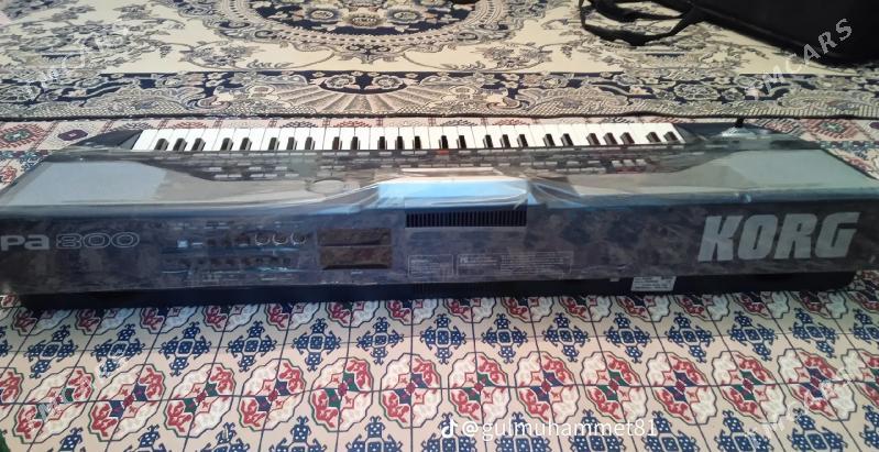 Korg Pa 800 - Kaka - img 2