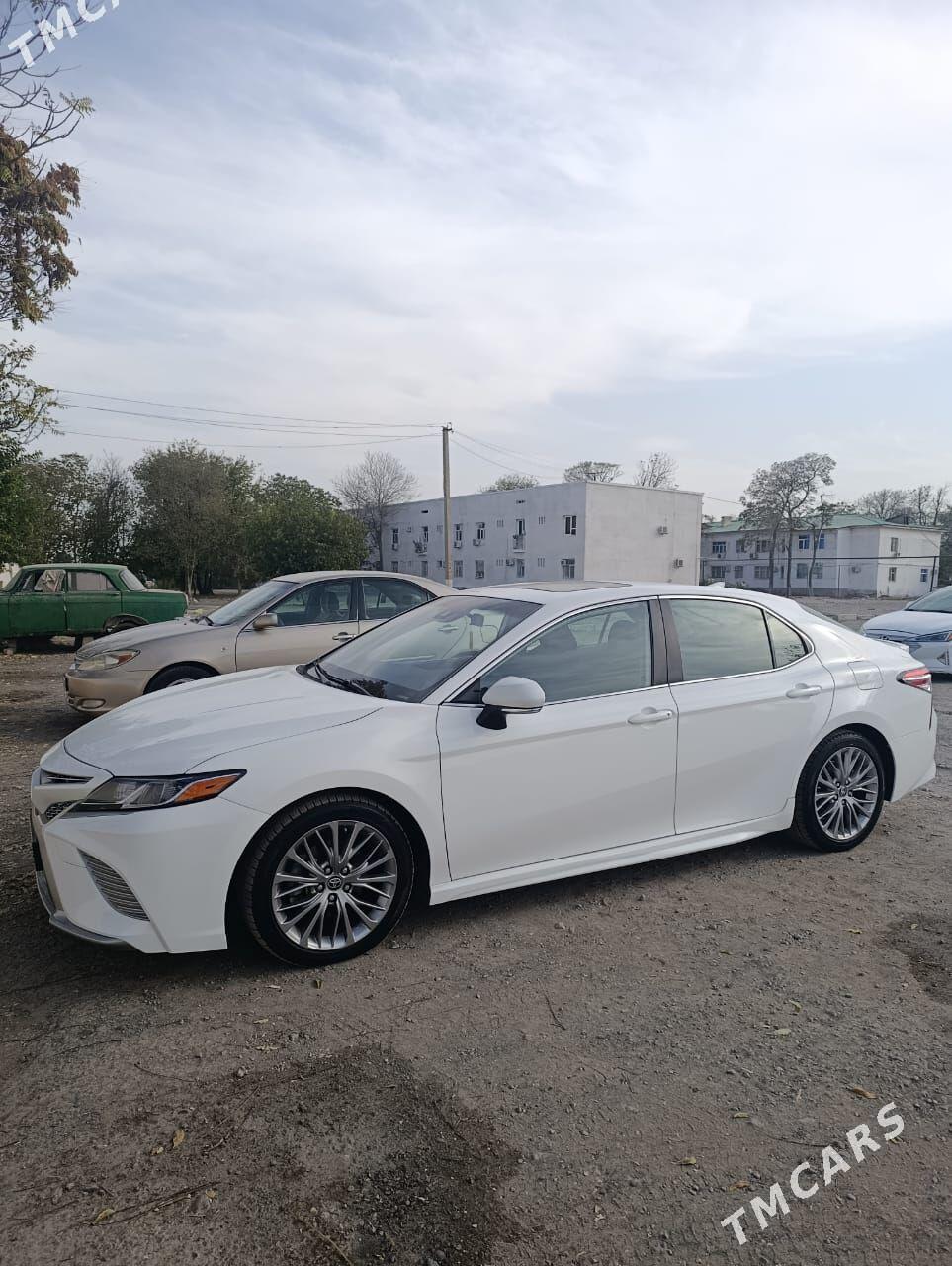 Toyota Camry 2020 - 320 000 TMT - Bekrewe - img 1