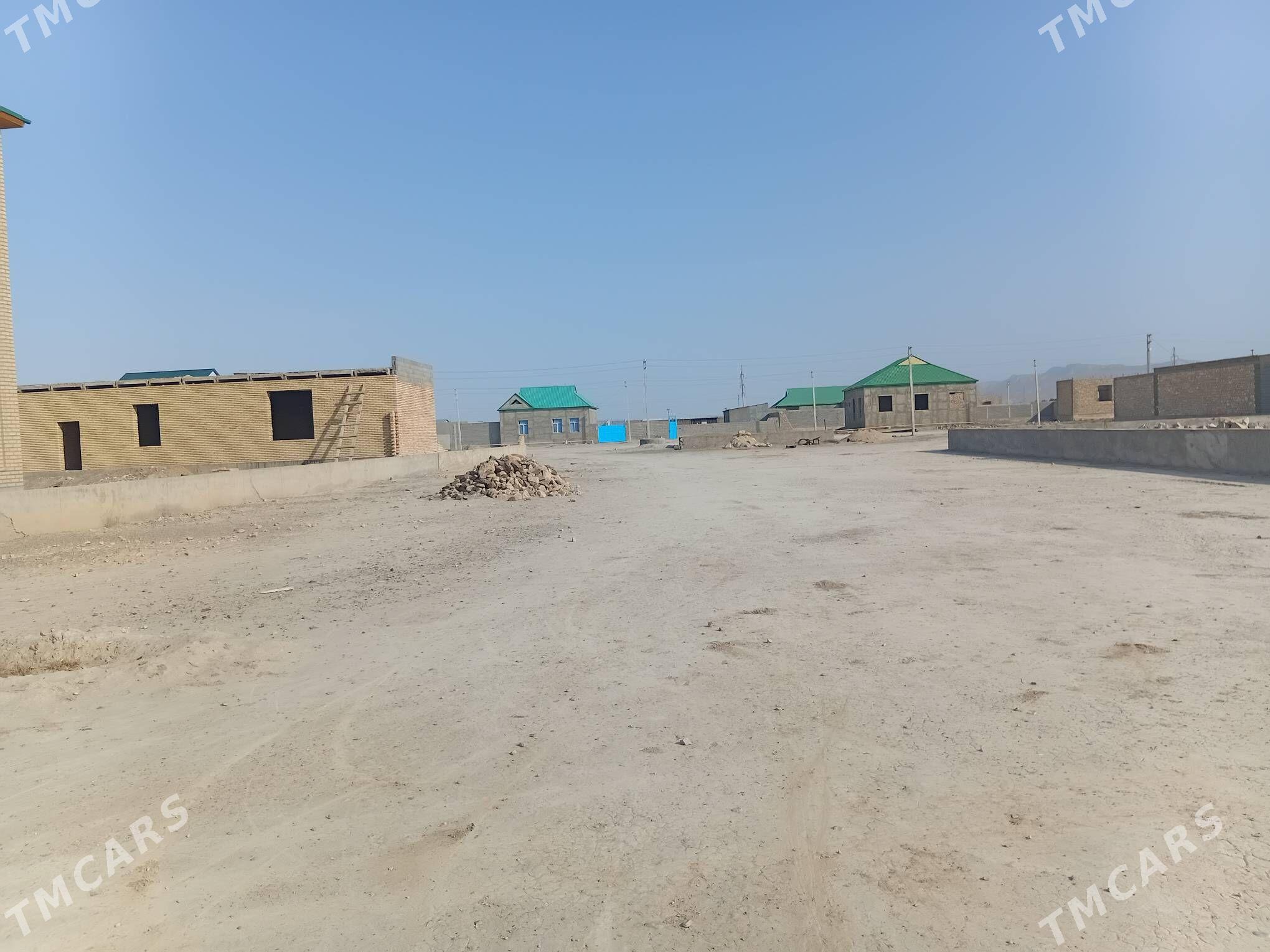 Ýer - Gyzylarbat - img 5