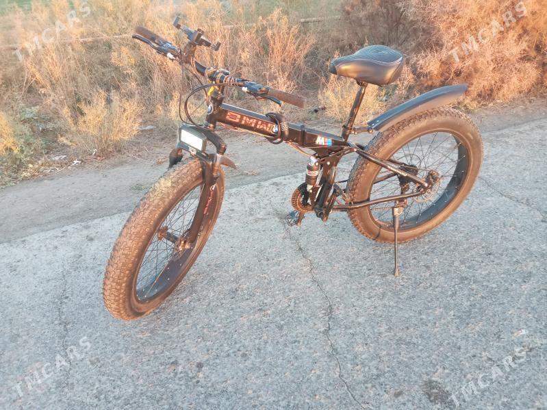 welesipet - Gurbansoltan Eje - img 2