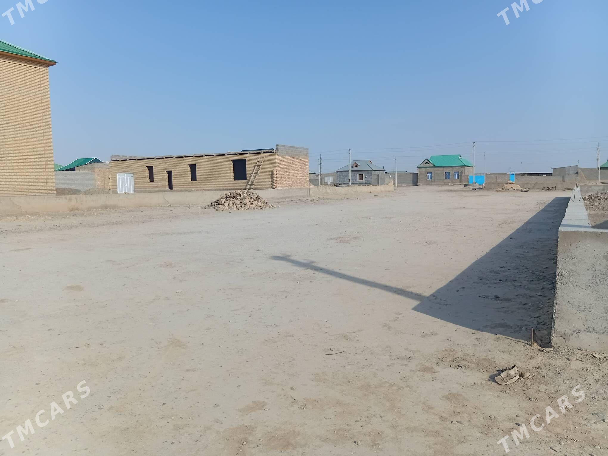 Ýer - Gyzylarbat - img 3