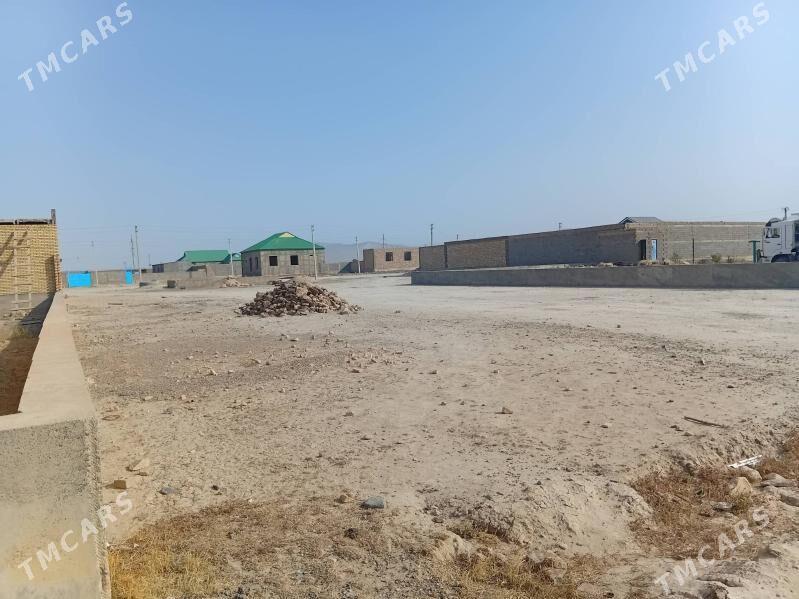 Ýer - Gyzylarbat - img 2