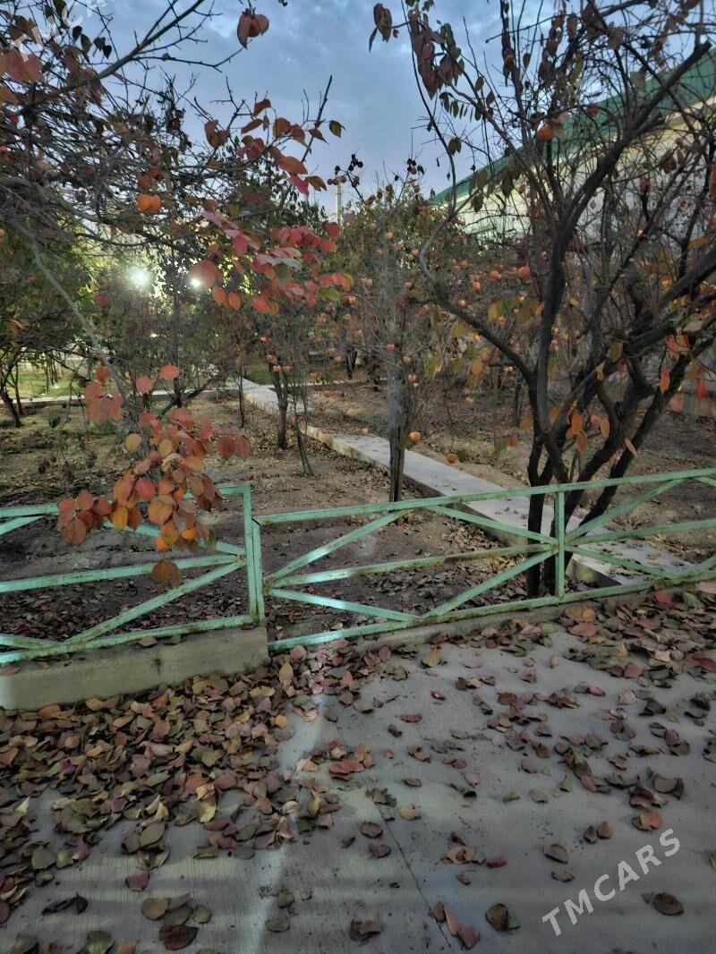 bagyr mirewe plan - Багир - img 4