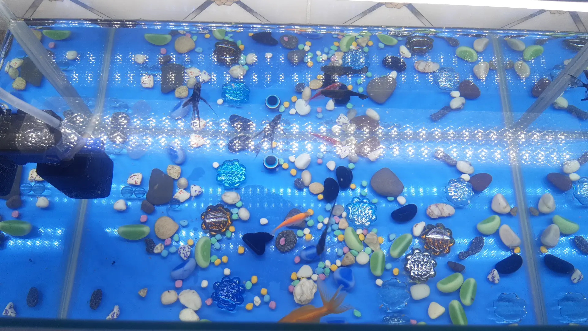 akwayum - Дянев - img 2