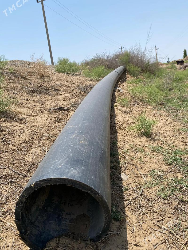 galin turba - Тязе заман - img 2