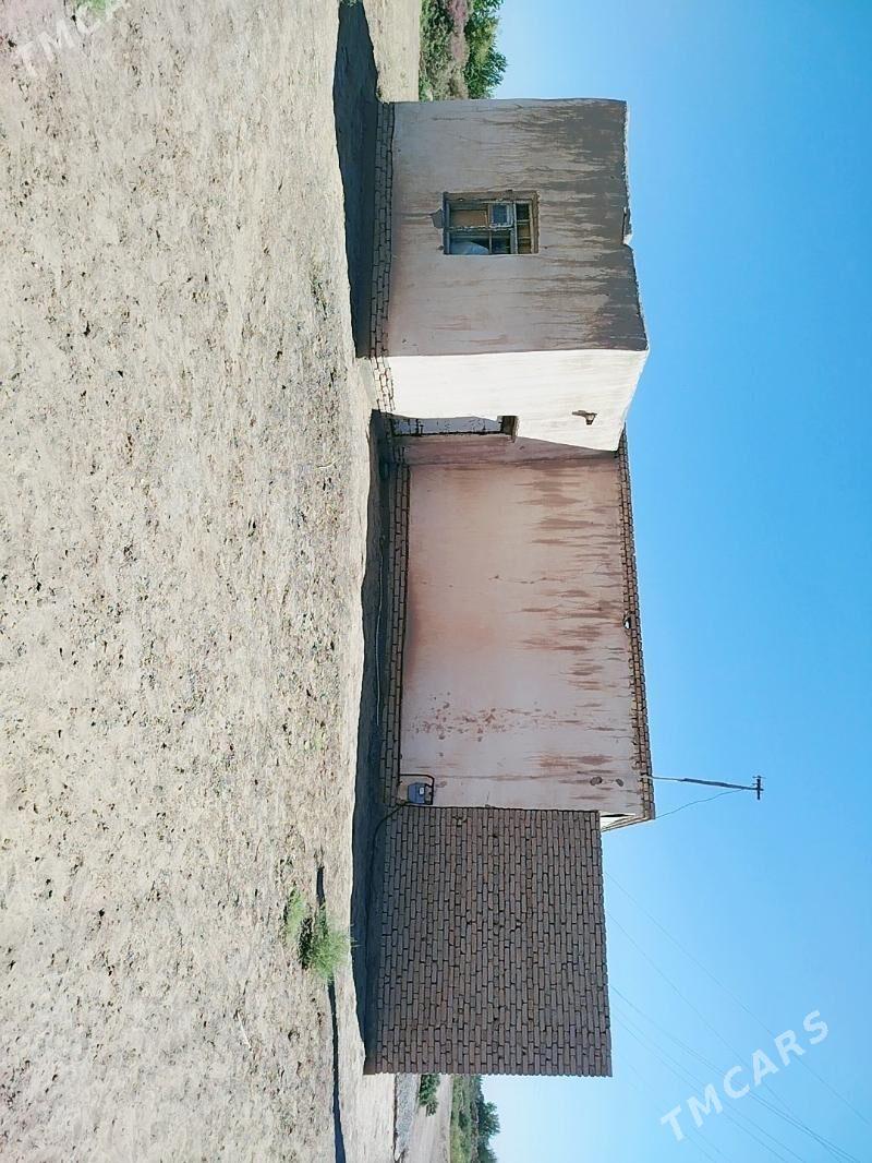 satlyk jay - Akdepe - img 5