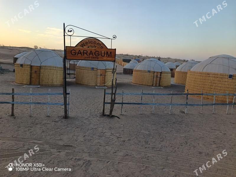 Поездки на природу - Ашхабад - img 4