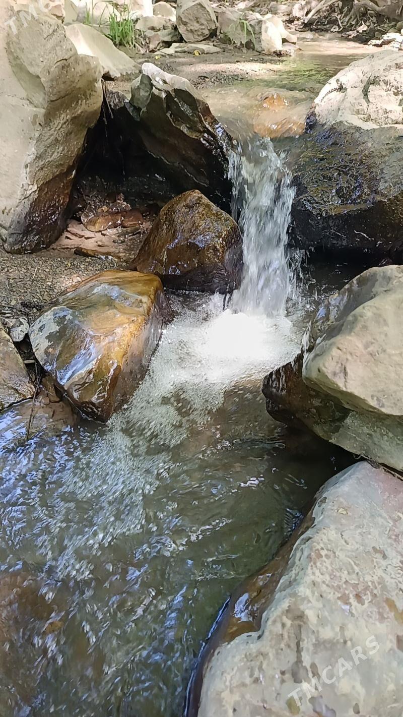 Поездки на природу - Ашхабад - img 7