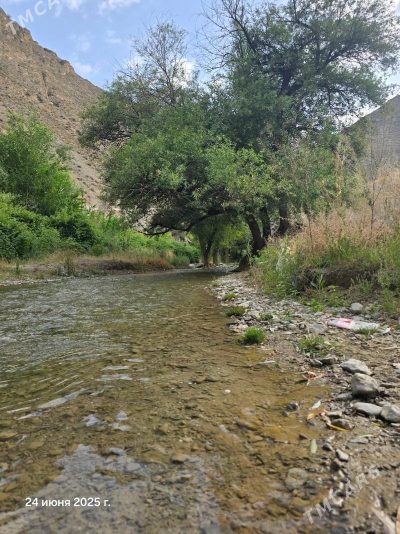 Поездки на природу - Ашхабад - img 5
