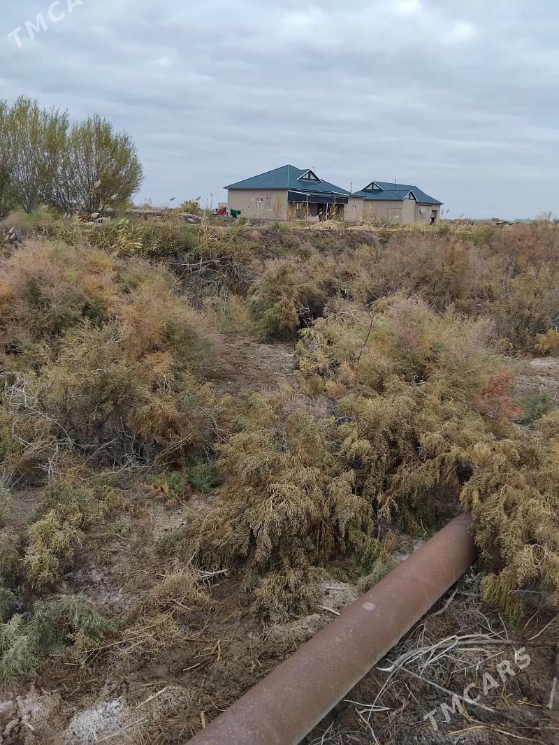 ýaşaýyş jaý - Köneürgenç - img 2