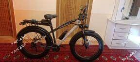 TIGIR GERMANŶA ТИГИР ГЕРМАЯ - Мир 7 - img 9