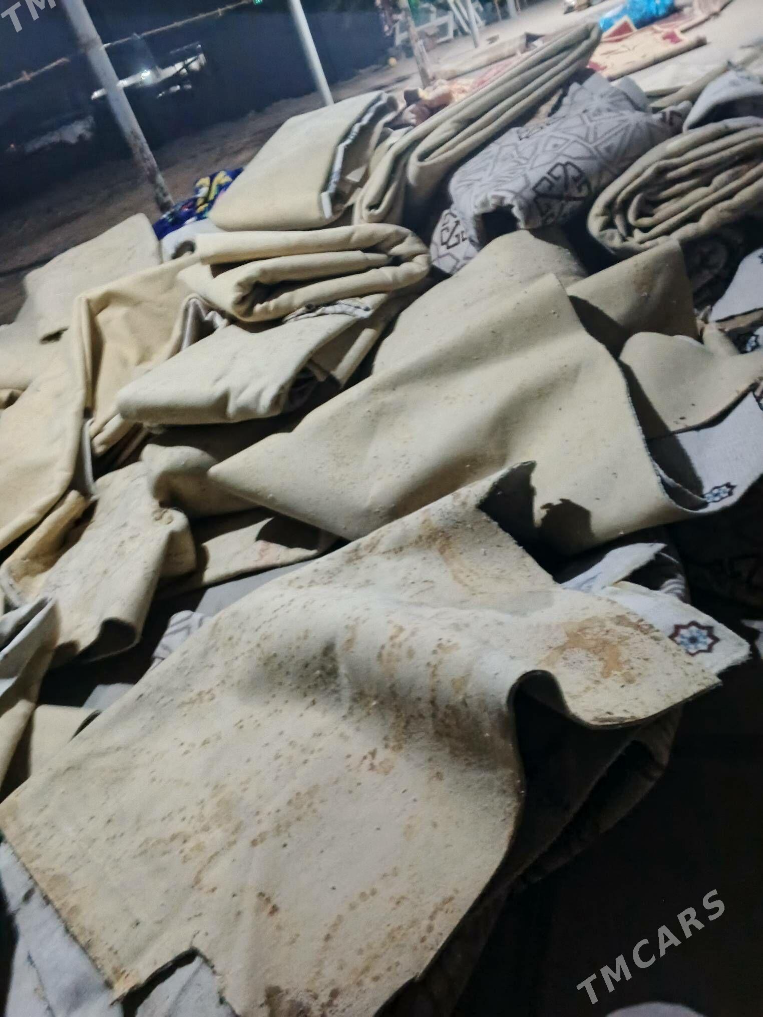 haly - Туркменгала - img 2